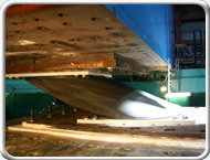Berry Street 45 Inch Shear Test Thumb